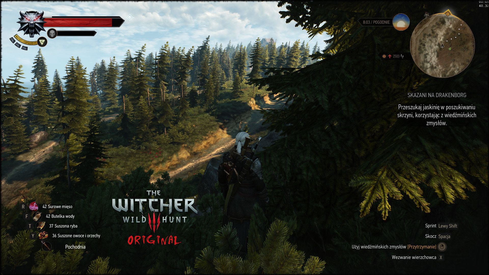The Witcher 3 HD Reworked - 5