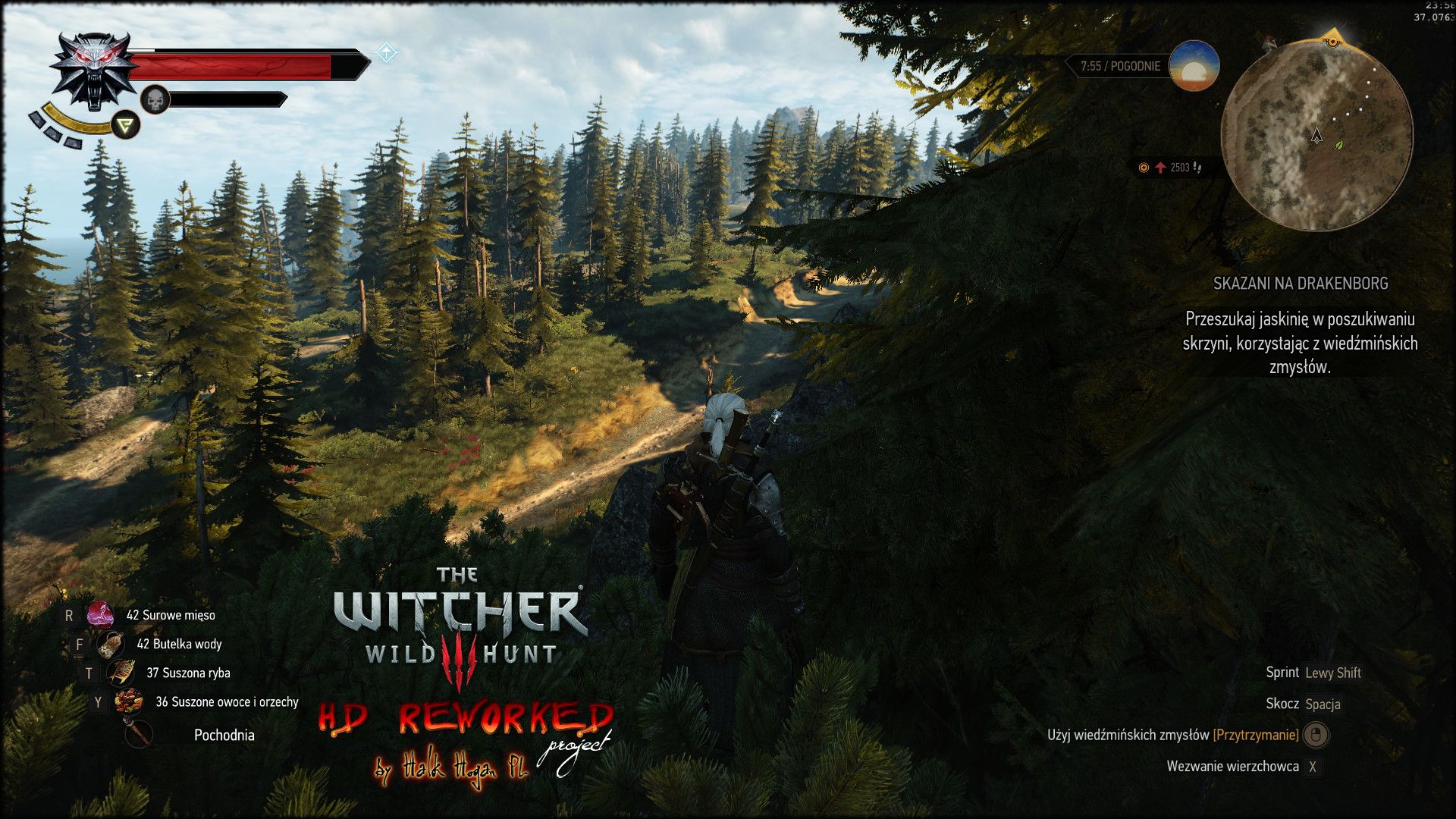 The Witcher 3 HD Reworked - 6