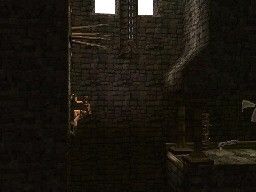 Tomb Raider Underworld DS   Image 3