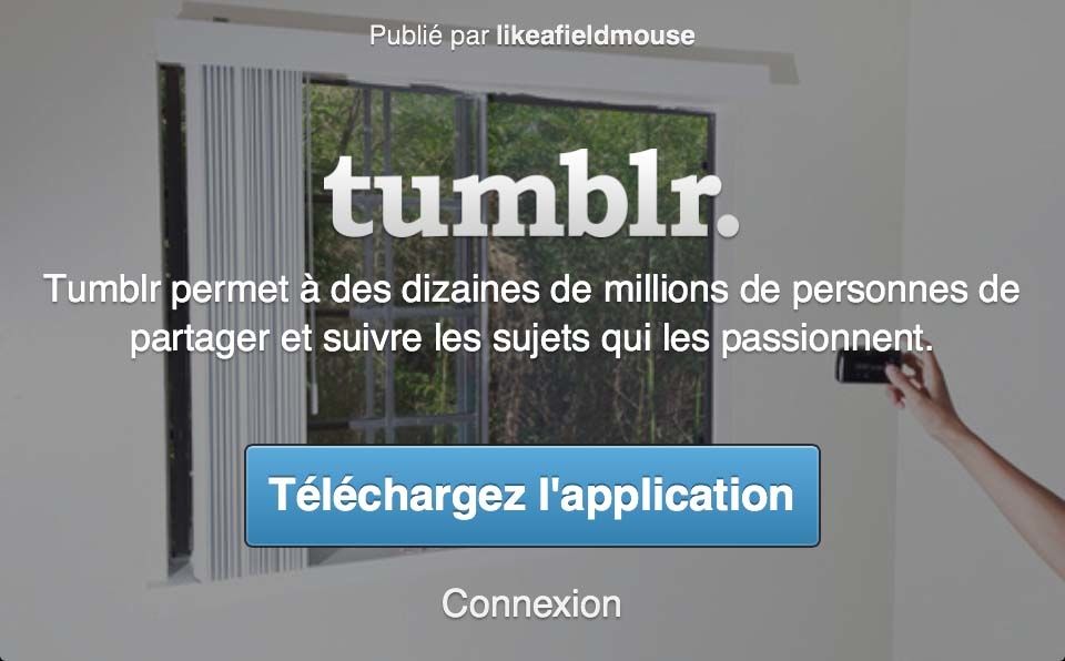 Tumblr web mobile