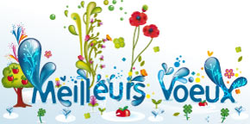 voeux general
