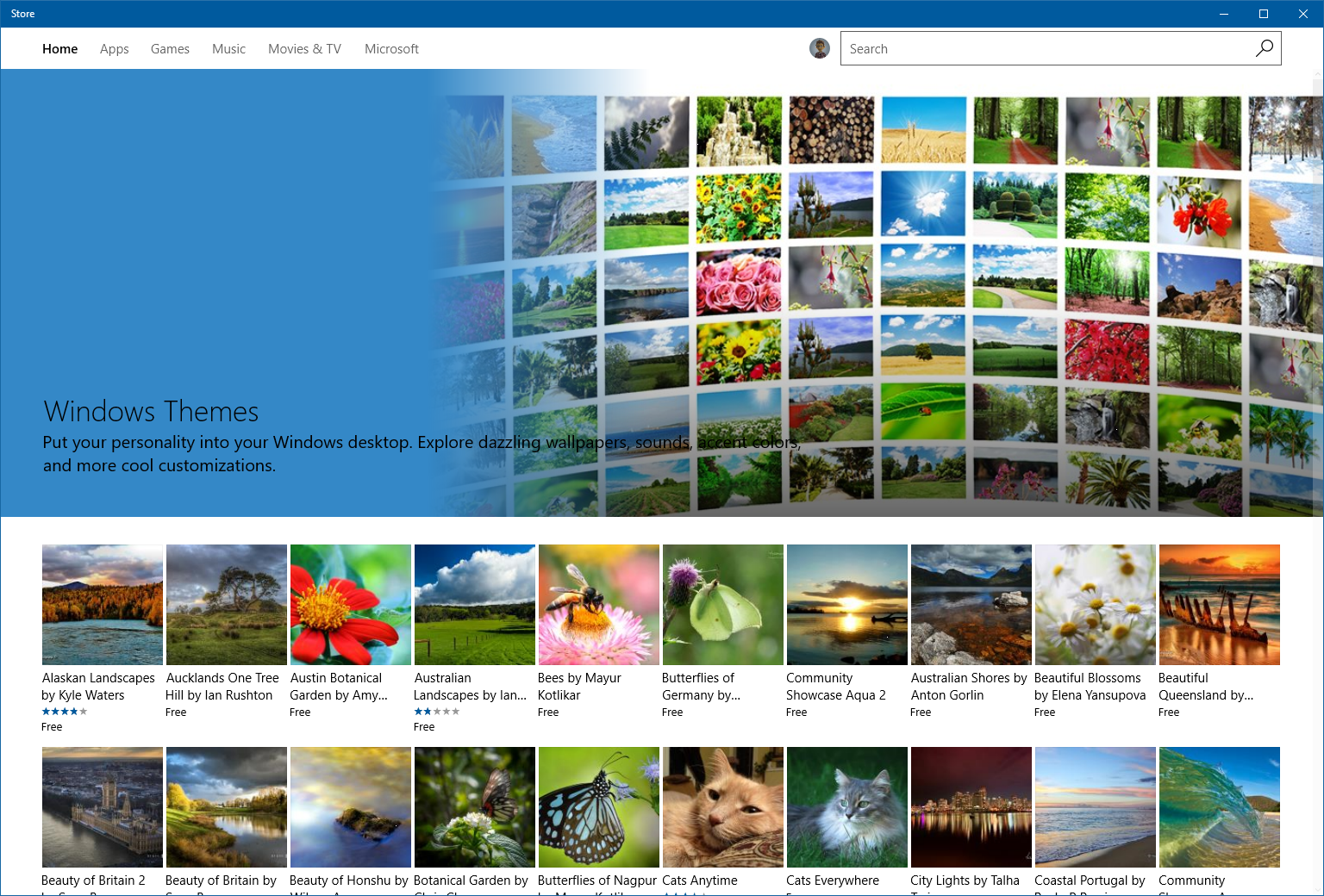 W10-build-15007-Store-Themes