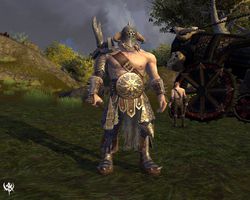 Warhammer Online Age of Reckoning 5
