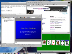 Wine screenshot (Small)