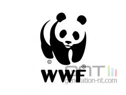 Wwf logo small