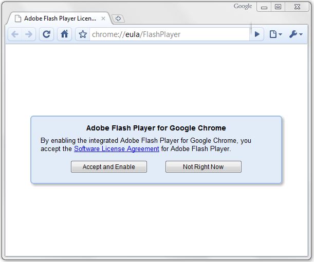 google chrome flash player