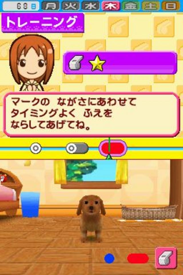 My Pet Shop 2 s'illustre en quelques clichés