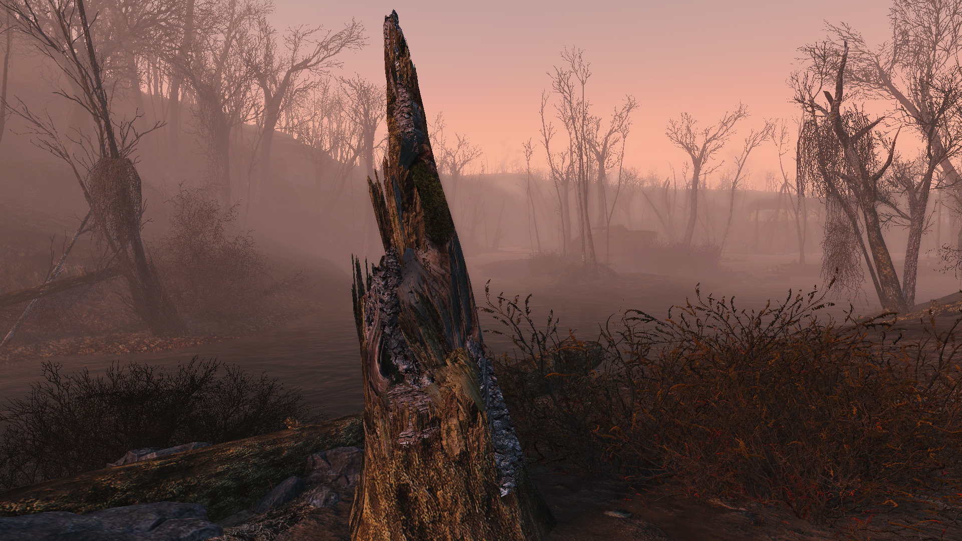 Fallout 4 vivid texture фото 36