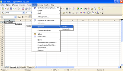 OpenCalc Protection 1