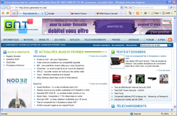 IE7 vignettes 1