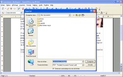PDF OpenOffice 7