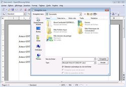 OpenOffice formats d