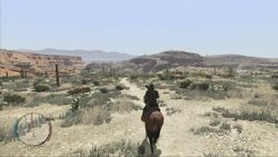 Red Dead Redemption (24)