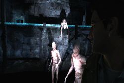 Silent Hill Shattered Memories - Wii (4)