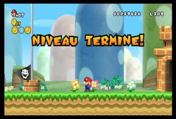 New Super Mario Bros Wii (9)