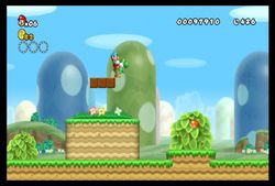 New Super Mario Bros Wii (18)
