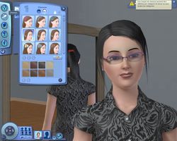 Les Sims 3 (2)