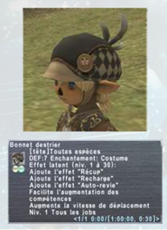 Final Fantasy XI - Bonnet destrier