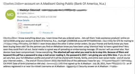 vade-secure-scam-email-ashley-madison