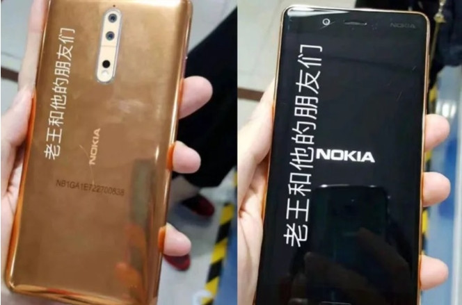 Nokia 8 Gold Copper