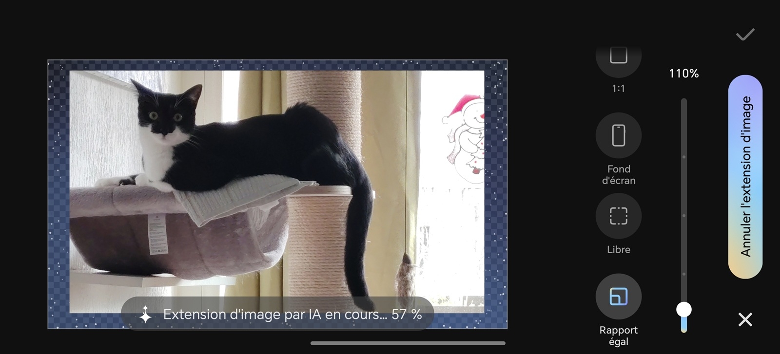 Honor Magic8 Lite edition IA 02