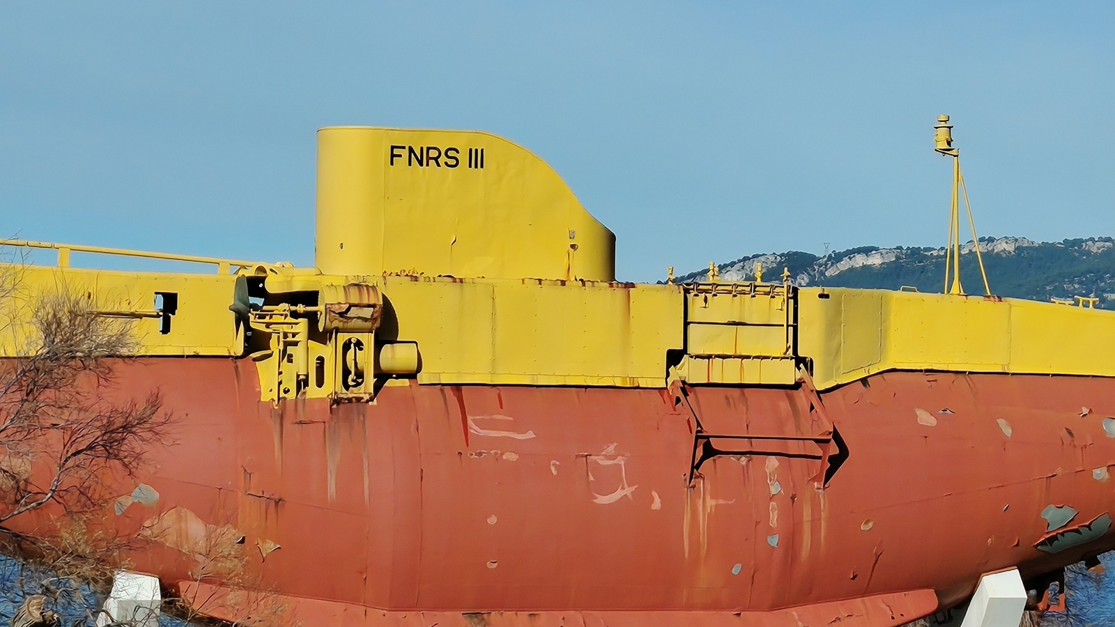 Honro Magic8 Lite photo zoom x5