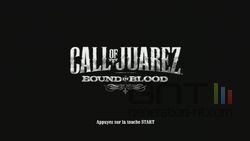 Call of Juarez Bound in Blood (2)