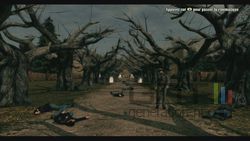 Call of Juarez Bound in Blood (18)