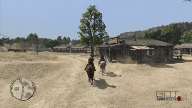 Red Dead Redemption (11)