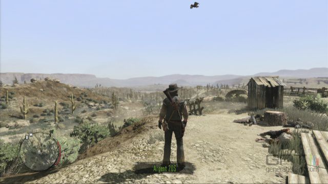 Red Dead Redemption (17)