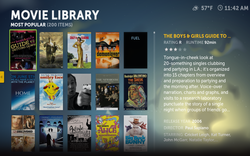 4-Boxee_Movie_Library