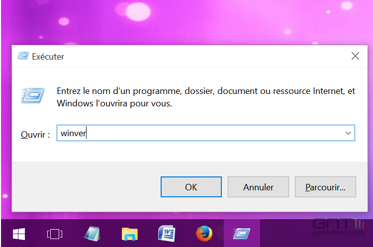 Version Windows 10 (1)