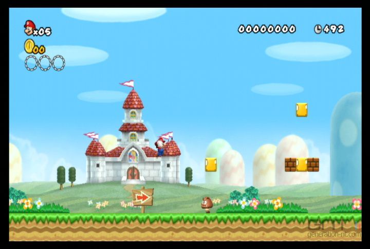 New Super Mario Bros Wii (6)