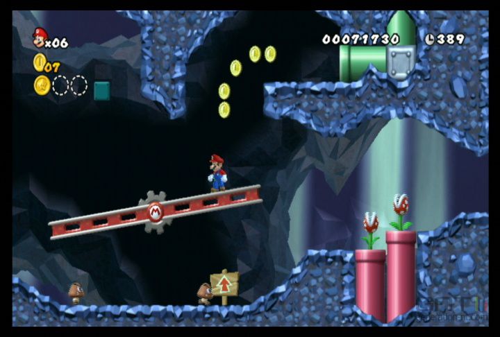 New Super Mario Bros Wii (11)