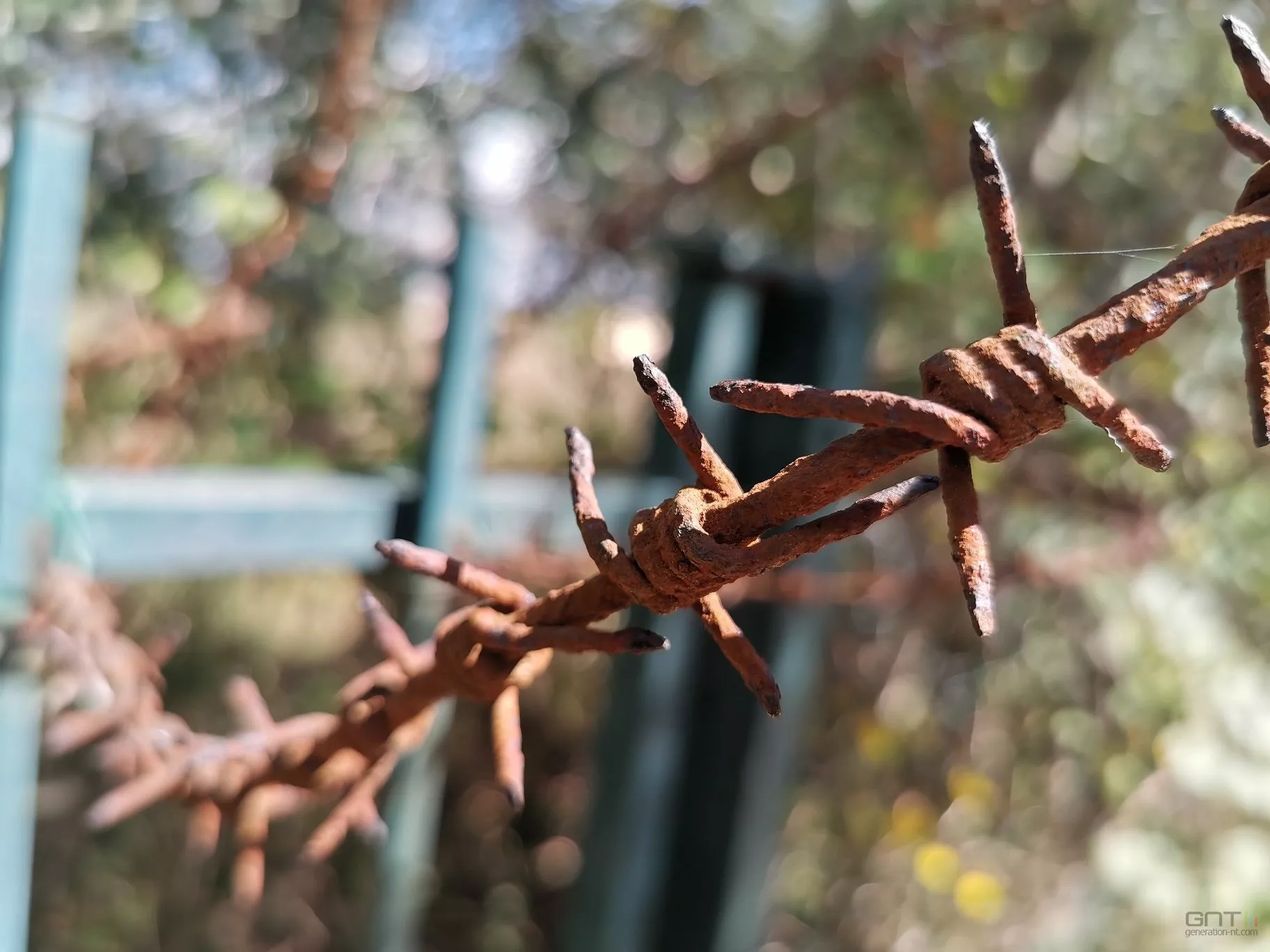 Huawei P30 Pro macro 01