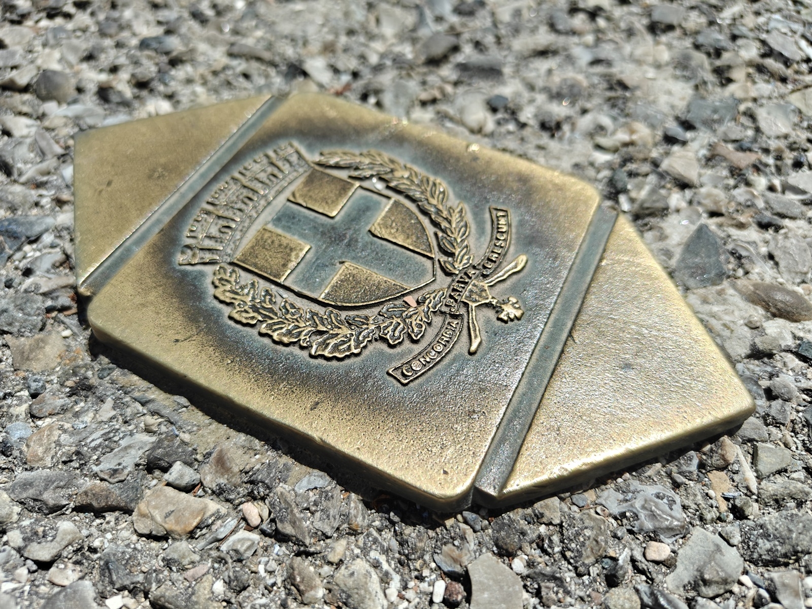 OnePlus 13R photo macro