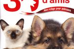 30 Millions d\\\'Amis : Mon refuge pour animaux - pochette