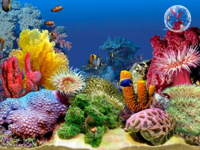 3D Tropical Fish Aquarium II