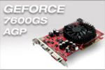 7600 GS AGP