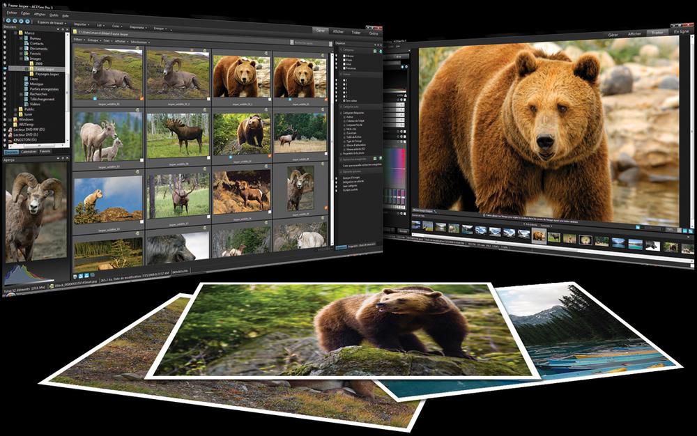 ACDSee Pro Photo Manager 3 screen 2