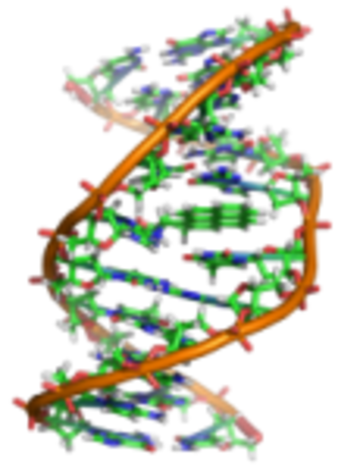 ADN_model_benzopyrene