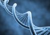 L'ADN : disque dur du futur ?