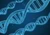 Des chercheurs automatisent le stockage de données sur ADN