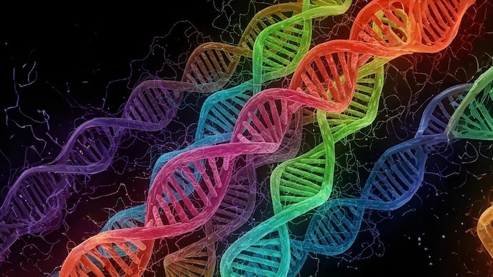 Google DeepMind dévoile AlphaGenome pour décrypter les secrets de notre ADN