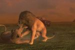 Afrika 12