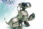 Aibo