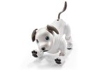 Aibo