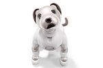 Aibo