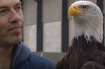 Aigle