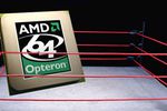 AMD sur un ring